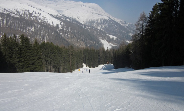 anteprima Pista discesa a valle Piz - Schöneben, Passo Resia - Alta Val Venosta