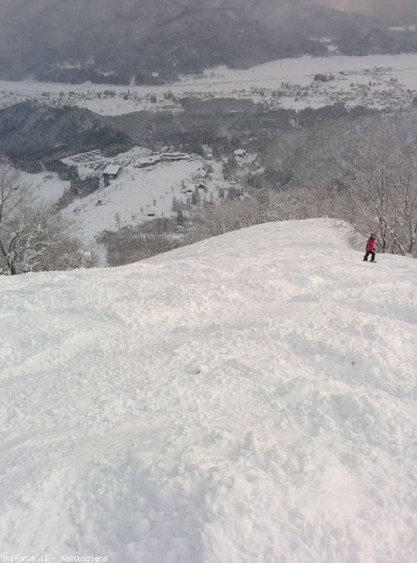 Hakuba valley gennaio 2015 | SkiForum - Sci, turismo, sport e passione