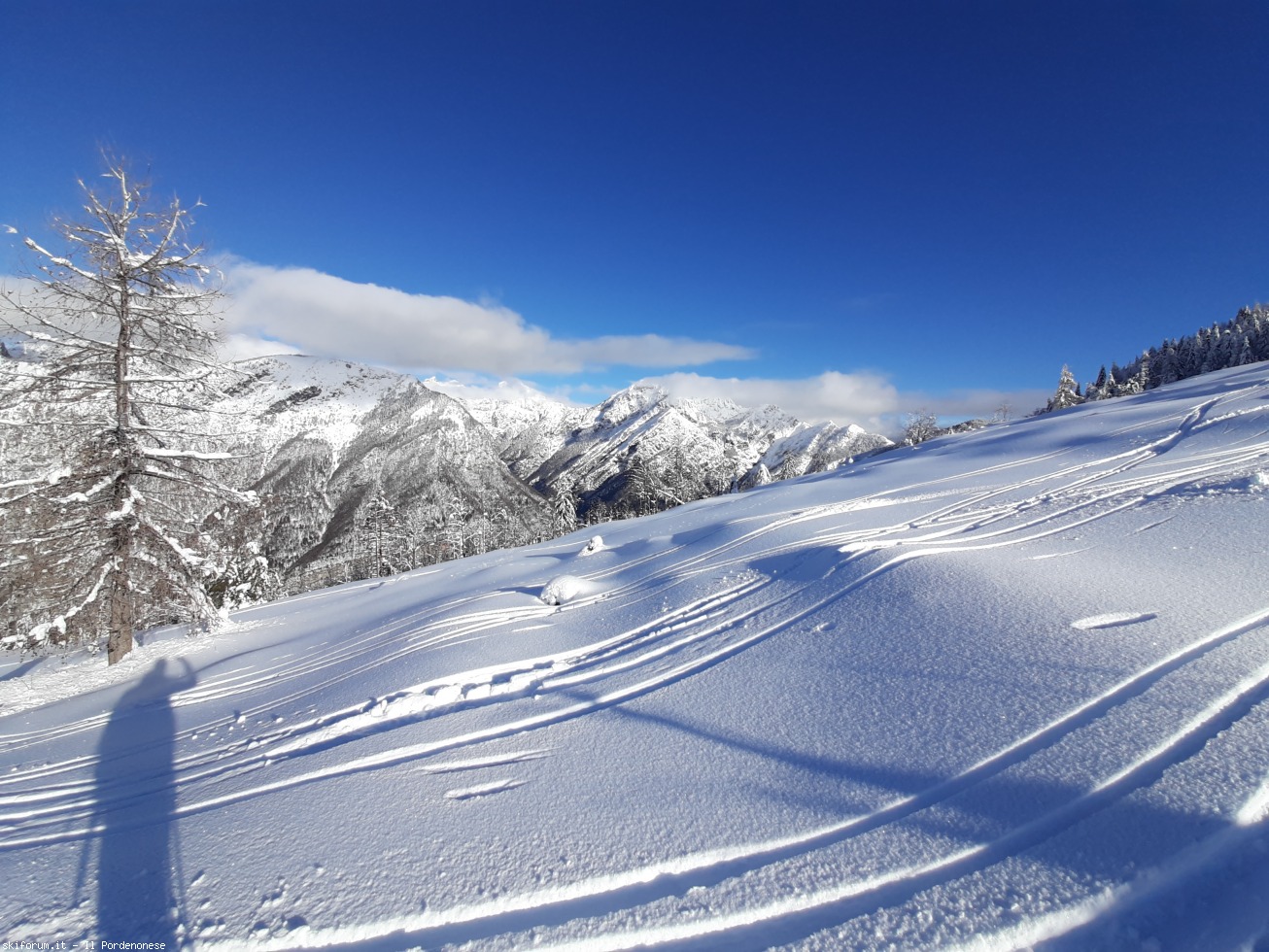 skialp] Rifugio Pradut - dolomiti friulane, dicembre 2020 | SkiForum - Sci,  turismo, sport e passione