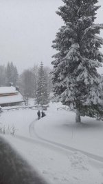 Fresa per neve o spazzaneve che dir si voglia : marche e modelli. |  SkiForum - Sci, turismo, sport e passione