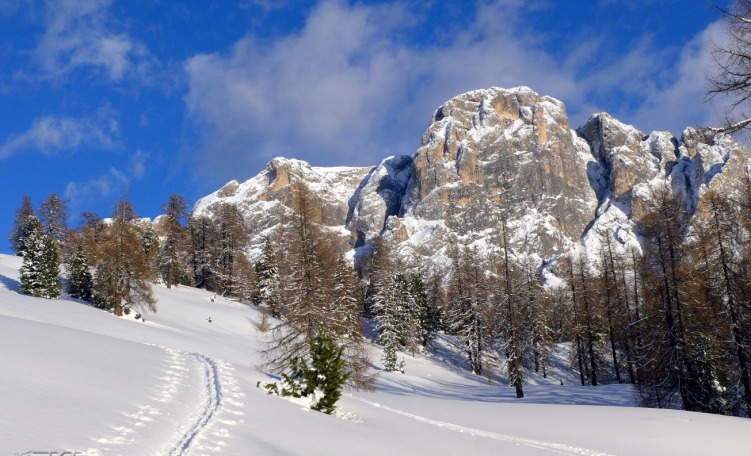 Scialpinismo in Val Venegia